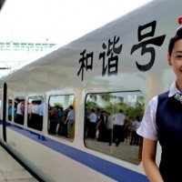 動車乘務(wù)專業(yè)